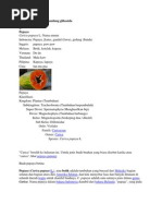 Download 5 Simplisia Yang Mengandung Glikosida by DELISA CAHYANINGTYAS SN113318500 doc pdf