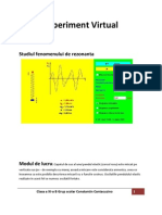 Experiment Virtual +grafic Si Interpretarea Datelor