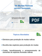 [Apostila] Produção de mudas nativas em viveiros florestais