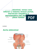 Aorta Abdominal, Venas Cava Inferior y Sistema Venoso Portal, Inervación Simpática y Parasimpática Del Abdomen, Plexo Lumar