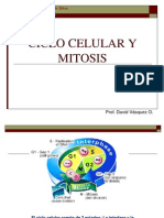 Ciclo Celular y Mitosis 1209342773588682 9