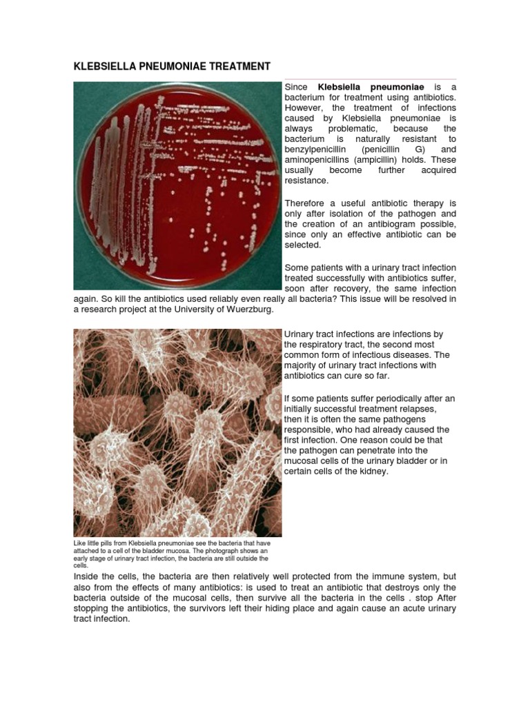 Klebsiella Pneumoniae Treatment Infection Public Health