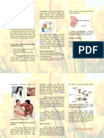 Liflet Anemia Ibu Hamil PDF