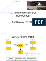BGP Junos