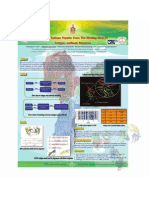 Poster Research Path Antibody