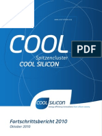 Cool Silicon Fortschrittsbericht 2010