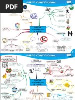 MAPAS MENTAIS - Direito Constitucional - Direitos Fundamentais