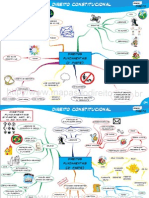 MAPAS MENTAIS - Direito Constitucional - Direitos Fundamentais