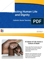 Respecting Human Life and Dignity: Catholic Social Teaching