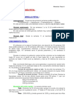 Desarrollo Fetal