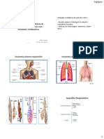 1.1  revisão anatomia e fisiologia