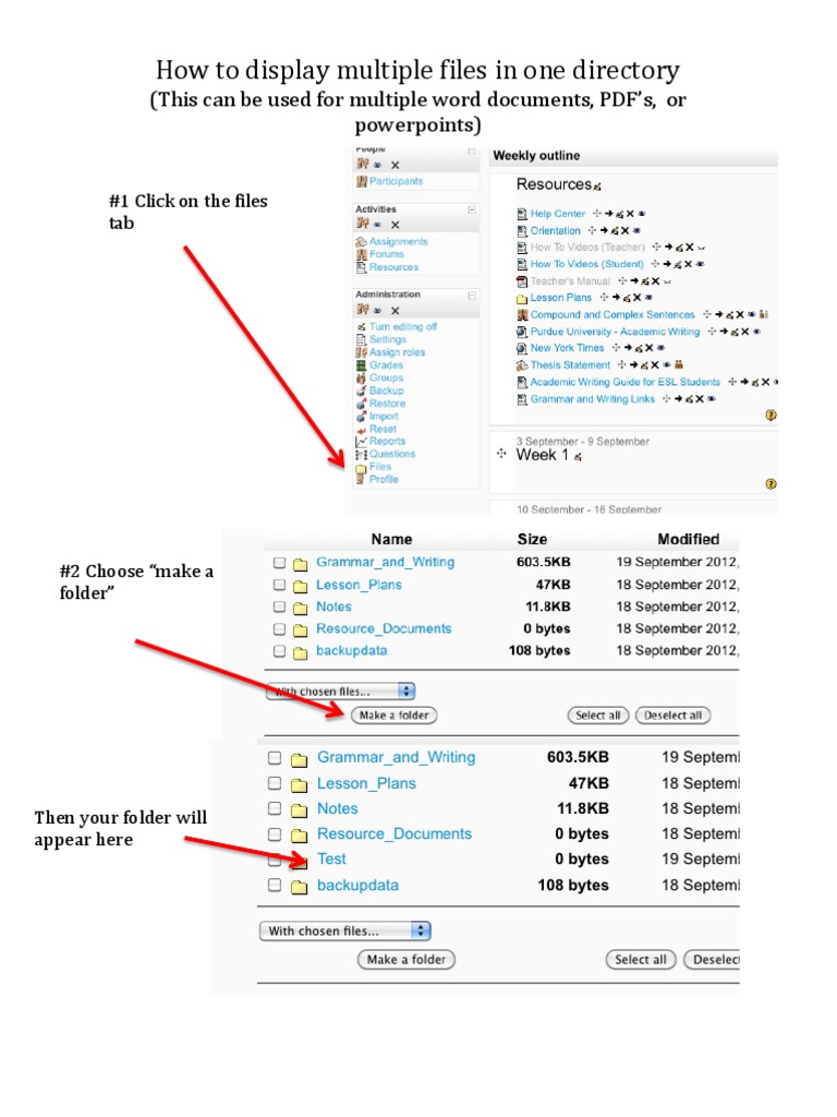 Display Multiple Files in One Directory | PDF
