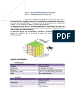 Resumen de Administración Por Proyectos