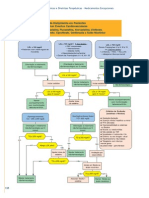 portocolo dislipidemia