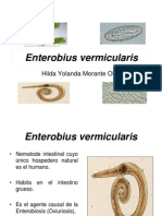 Enterobius Vermicularis-2011