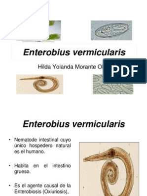 enterobius vermicularis hospedero gyógymódok a virágokon élő paraziták ellen