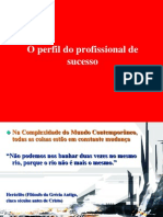 O Perfil Do Profissional de Sucesso - OK