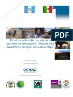 Estudio analítico del impacto de las  acciones de extracción y tráfico de Vida  Silvestre en la región de la Selva Maya