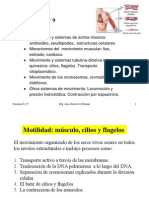 Semana 8- 9 Sistema Muscular