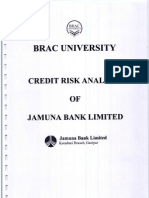 Credit Risk Analysis of Jamuna Bank Limited_rescan