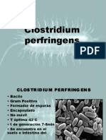 Clostridium 2