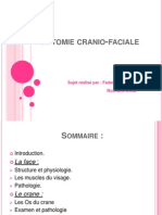 Anatomie crânio faciale [Enregistrement automatique]