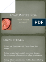 anatomi telinga