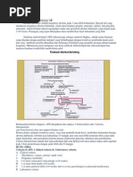 Download Abortus Berulang by ajeng aprilia SN113714181 doc pdf