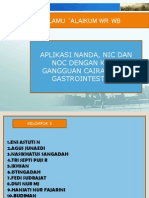 Presentasi Aplikasi Nanda, Nic, Noc