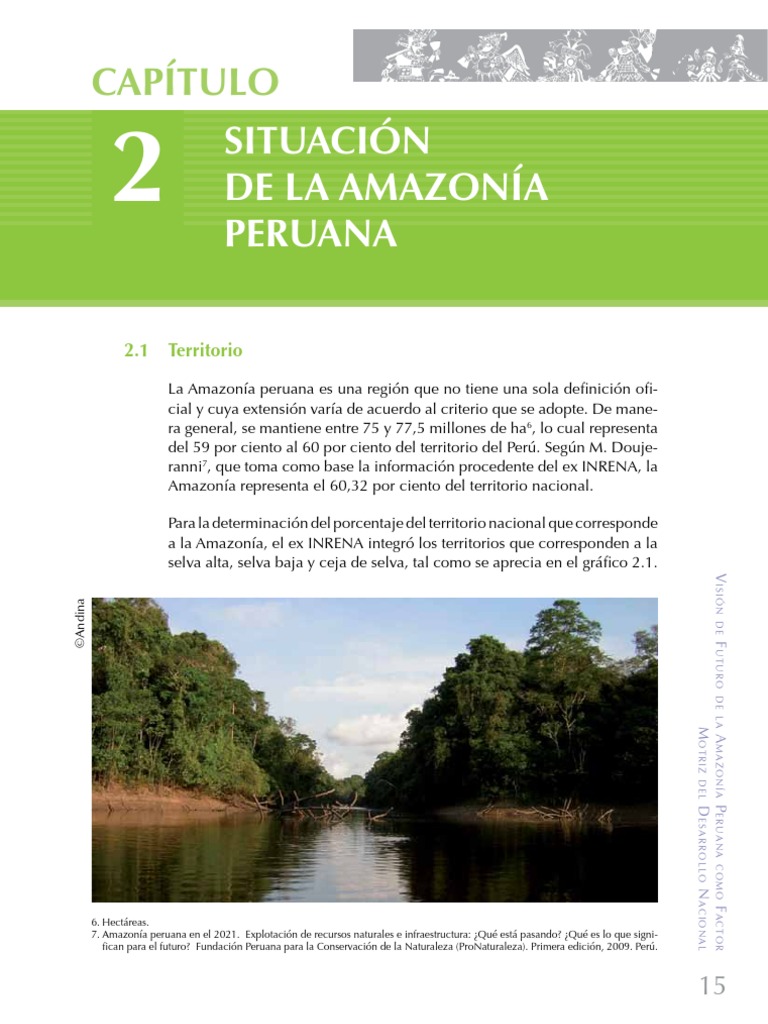 Situación Actual de la Amazonía Peruana | PDF | Biocombustible | Perú