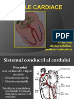 Aritmiile Final