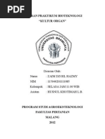 Download LAPORAN BIOTEKNOLOGI KULTUR ORGAN FAKULTAS PERTANIAN UNIVERSITAS BRAWIJAYA MALANG 2012 by De Casual SN113791978 doc pdf