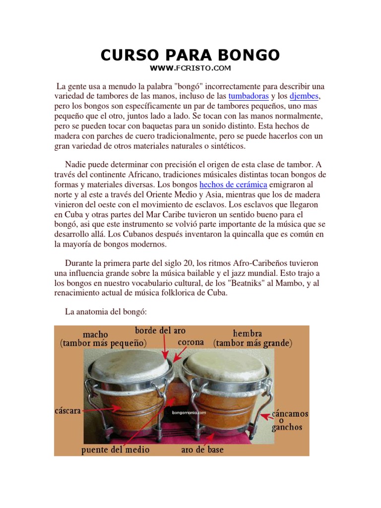 Curso para Bongo | PDF