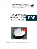 Evaluacion Mundial Sobre El Mercurio