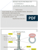 Funciones de Las Vias Respiratorias