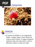 Sangue