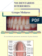 Molares Sup - Inf.mandar