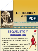 Huesos y Musculos