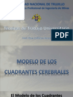 Modelo de Cuadrantes Cerebrales