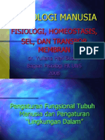 Fisiologi, Homeostasis, Sel Dan Transpor Membran