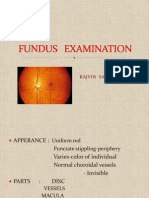 Fundus Examination
