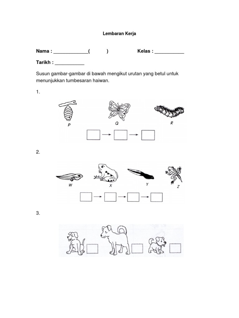 Lembaran Kerja Anak Haiwan Pdf
