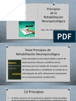 Prigatano Intervencion NP Objetivos RH