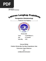 Laporan Bioteknologi