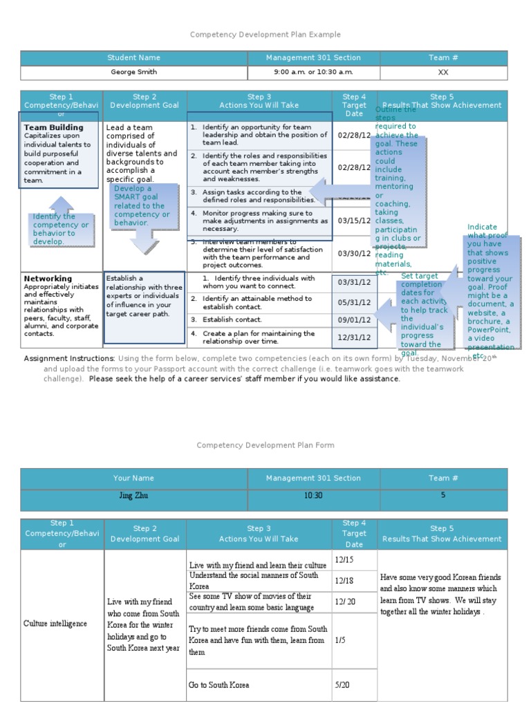 Your Competency Development Plan2 | PDF