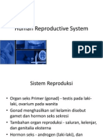 Sistem Reproduksi (Translate)