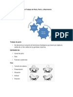 Proceso y Atención Del Trabajo de Parto