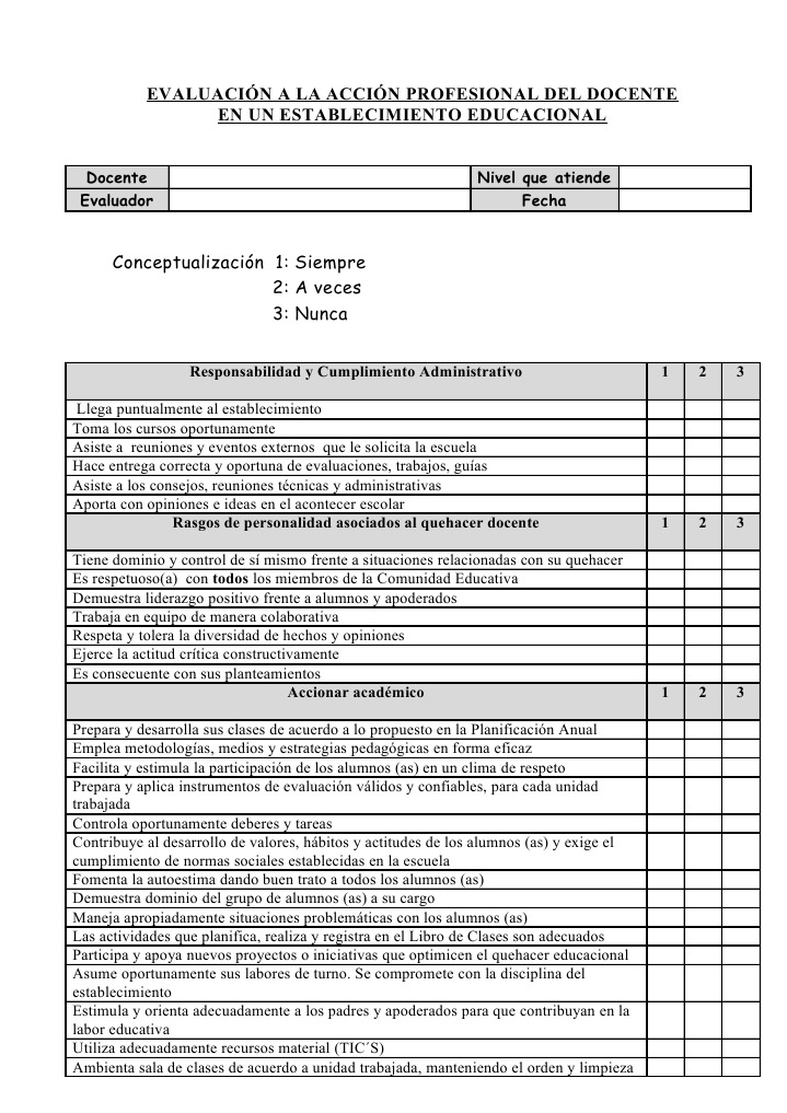 Pauta de Evaluación A La Acción Profesional Del Docente | PDF ...
