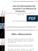 Transmicion De Enfermedades Del ADN Mitocondrial Y Maneras De Prevenirlos. Juan Camilo Silva Alarcon 