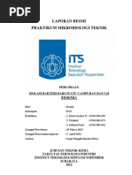 Download Isolasi Bakteri dan Uji Biokimia by Haris Pratama SN114007693 doc pdf